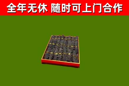浦江回收海参